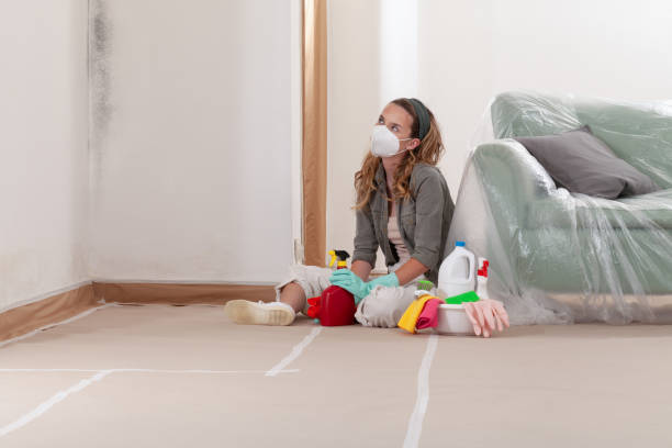 Reliable Mold Cleanup contractor in Hatboro, PA by WQB Mold Removal